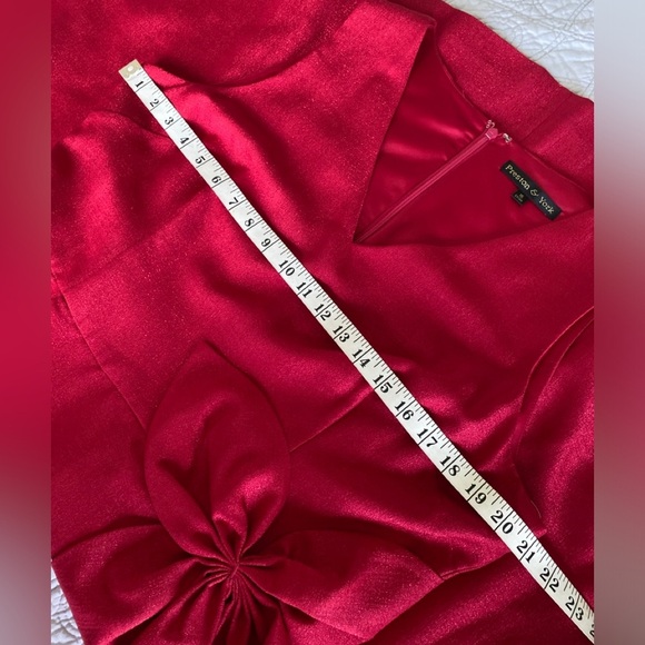 Preston & York Elegant Red Sleeveless Dress - Picture 5 of 9